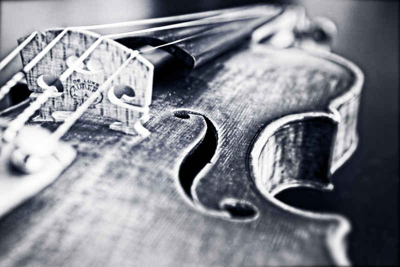 Photo of violin