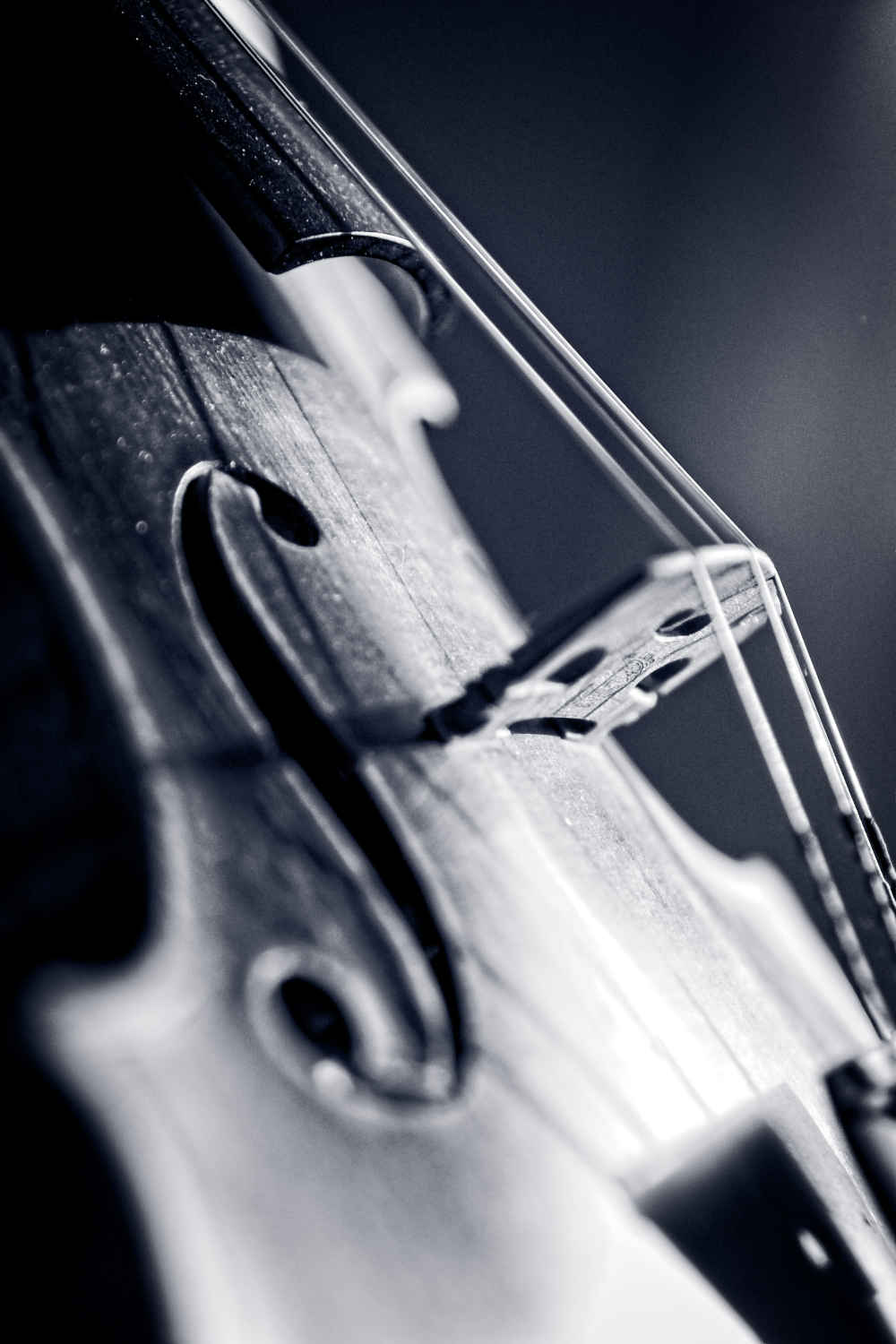 Photo of a violin